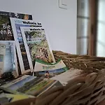 Les Bergeronnettes Feriehus Tavigny