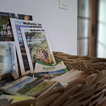 Les Bergeronnettes Holiday home Tavigny